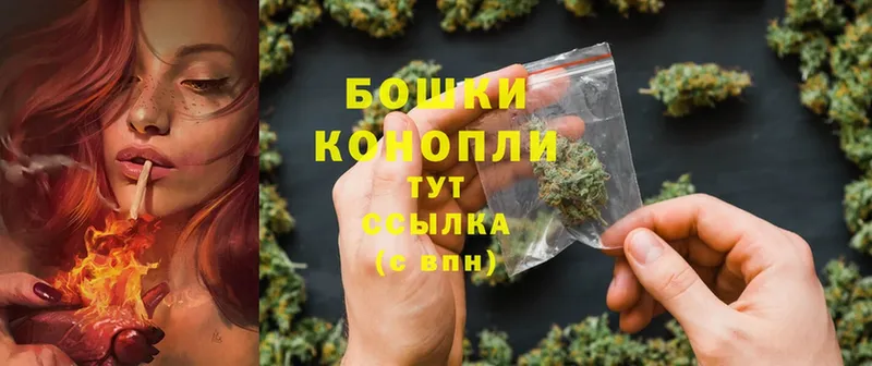 Марихуана SATIVA & INDICA  наркошоп  Тетюши 